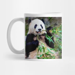 Giant Panda at Chongquing Zoo China Photograph Print Mug